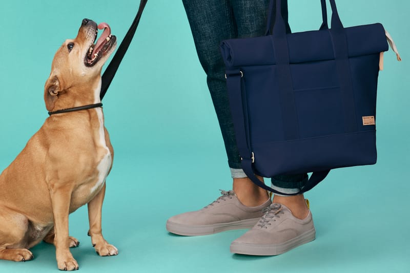 Whistles and Buddy Drop a Capsule Collection With Man's Best Friend in Mind