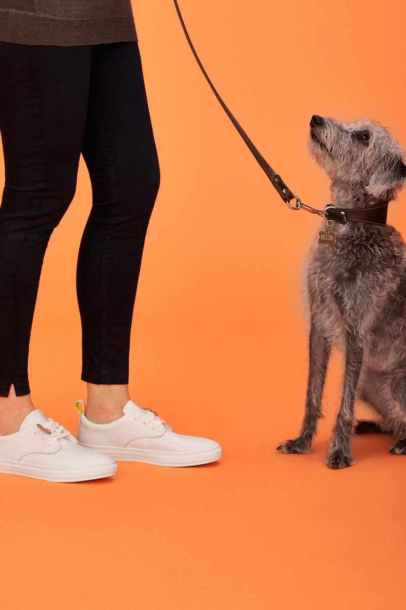 Whistles x Buddy Dog Collection
