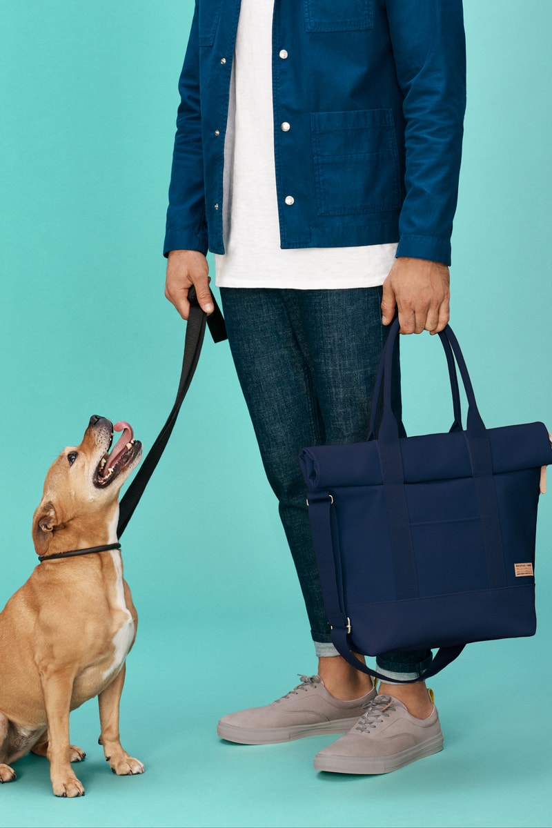 Whistles x Buddy Dog Collection