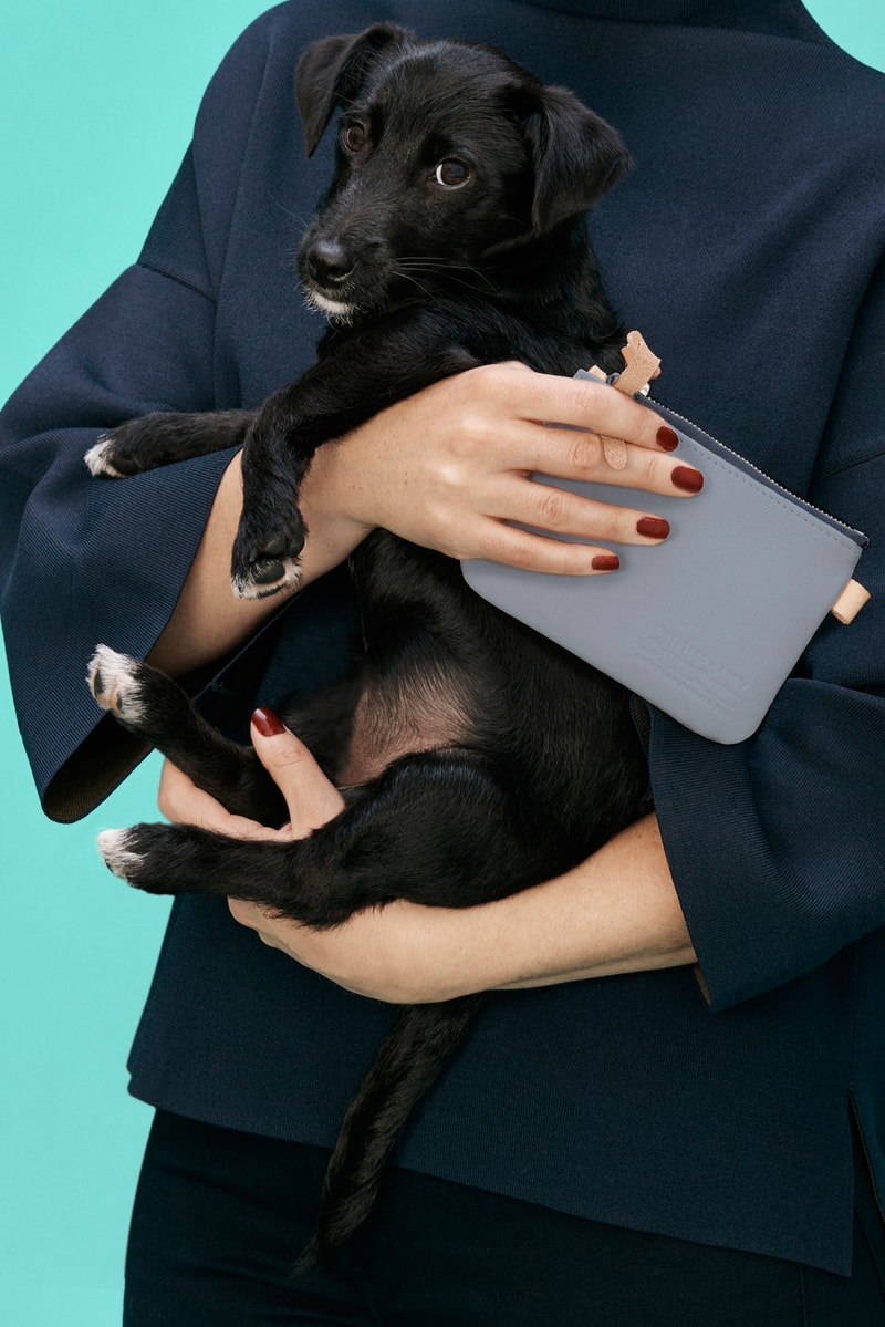 Whistles x Buddy Dog Collection