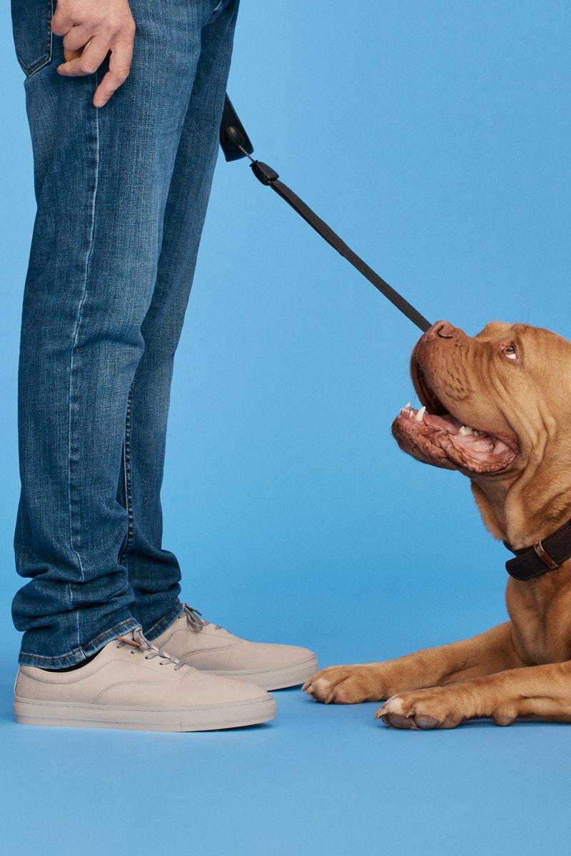 Whistles x Buddy Dog Collection