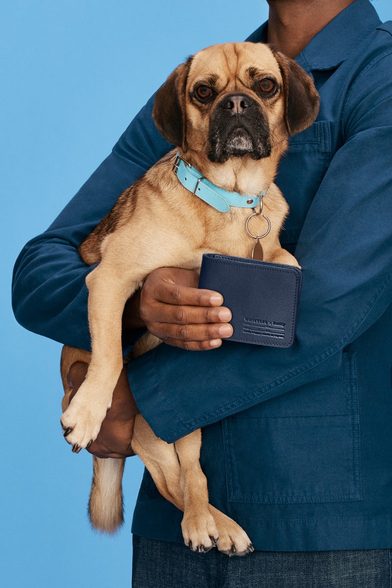 Whistles x Buddy Dog Collection