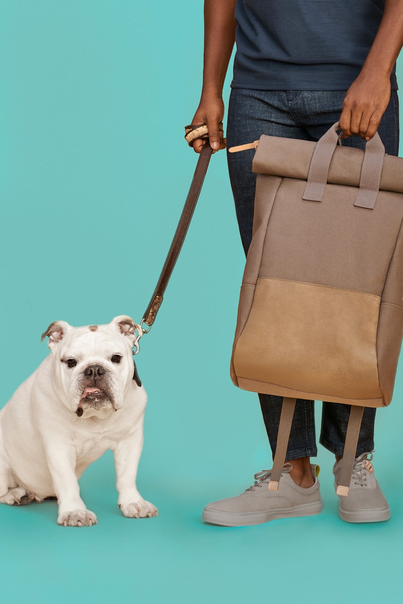 Whistles x Buddy Dog Collection