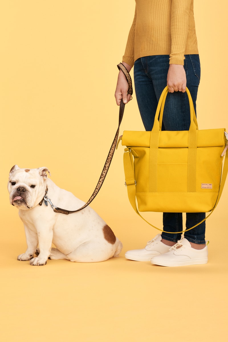 Whistles x Buddy Dog Collection