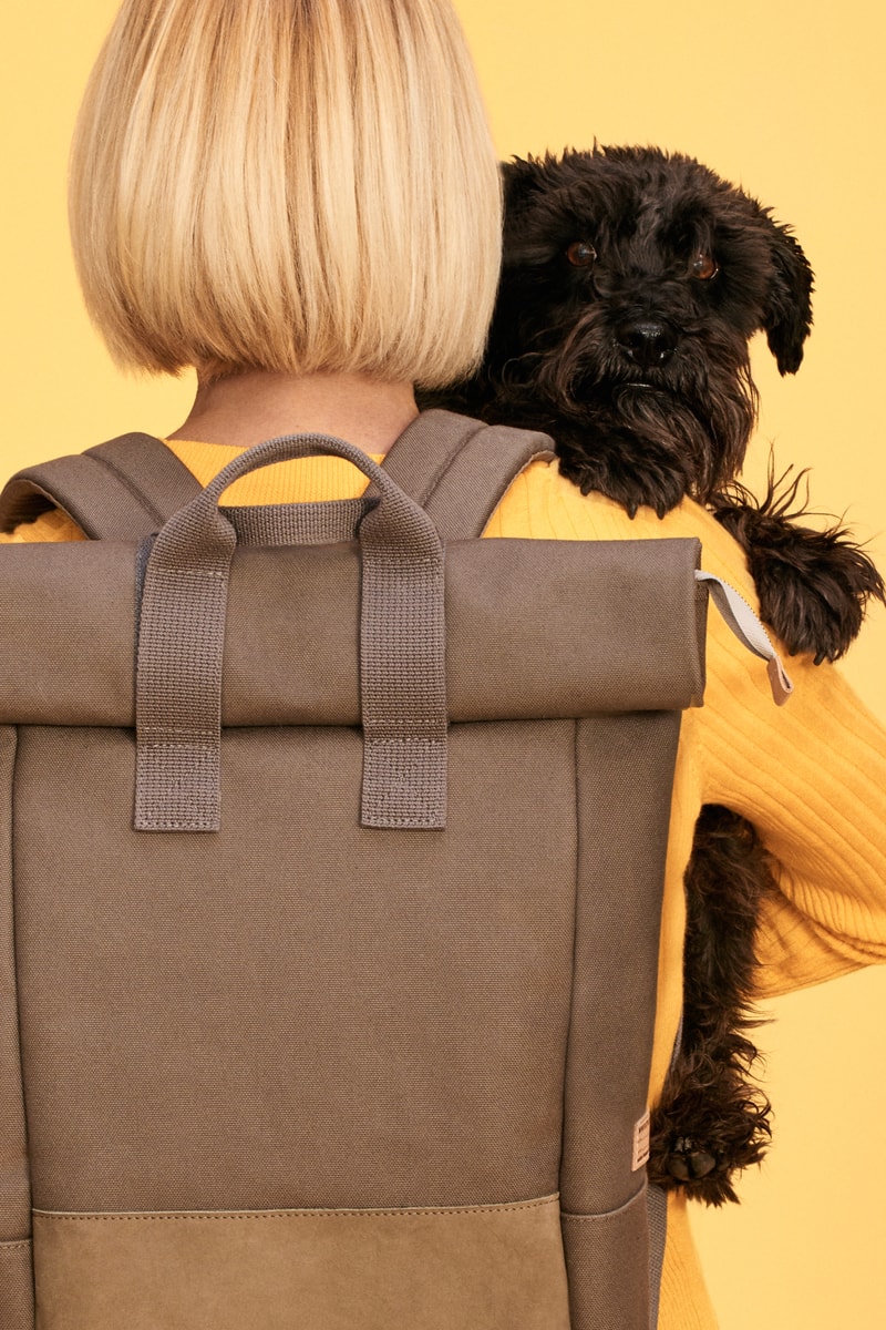 Whistles x Buddy Dog Collection