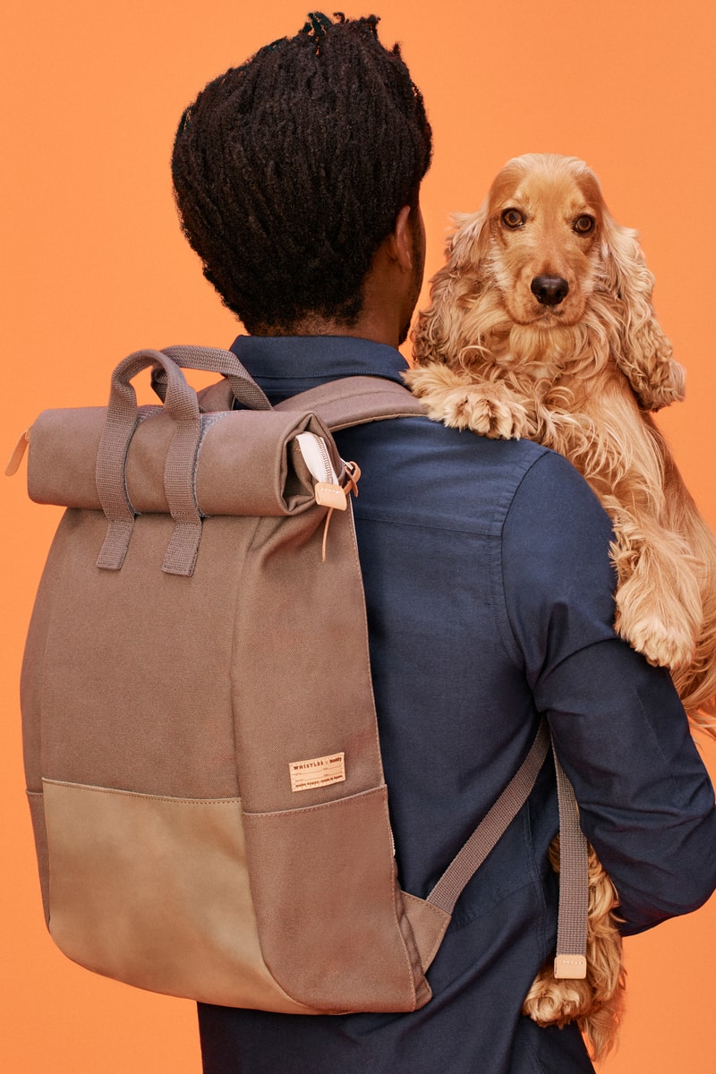 Whistles x Buddy Dog Collection