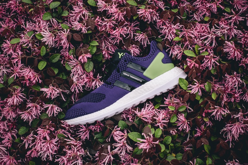 Y-3 Pure Boost ZG Knit Purple