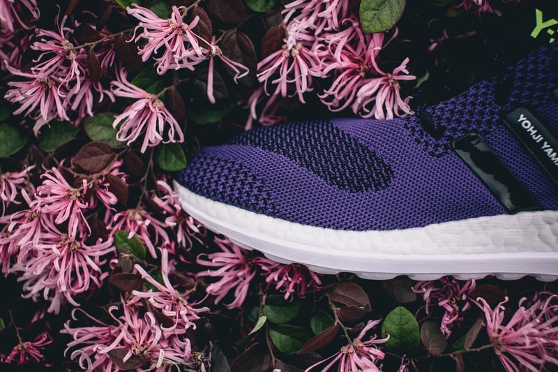 Y-3 Pure Boost ZG Knit Purple
