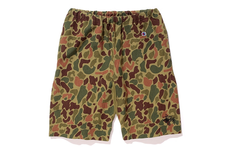Champion Stussy Reverse Collection