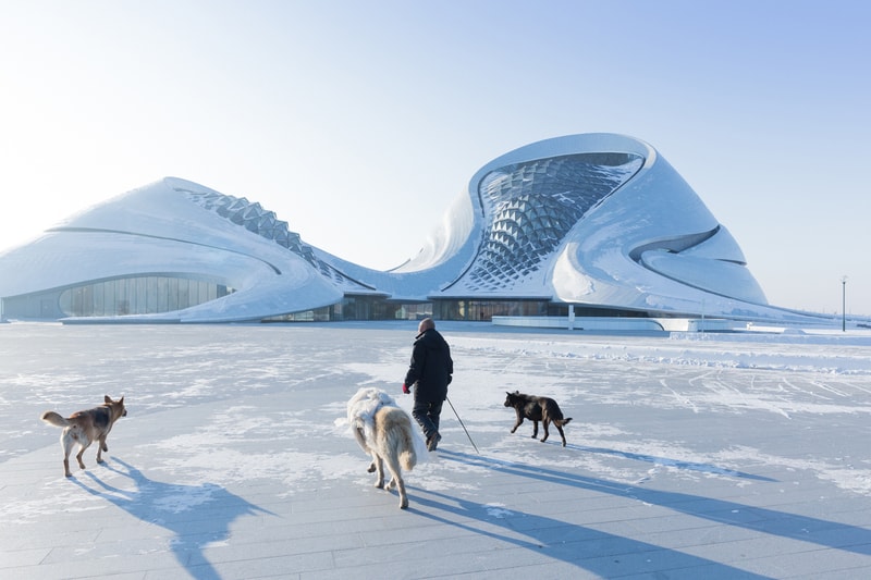 Iwan Baan Photographs the Harbin Opera House