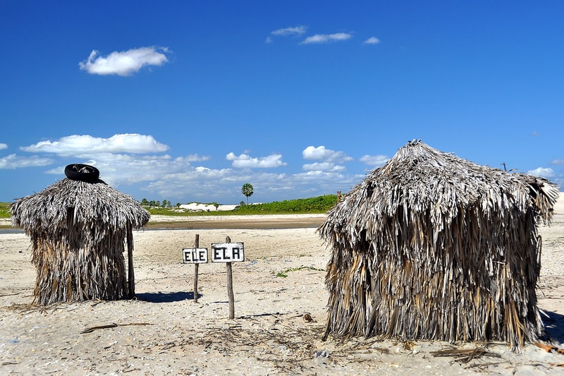 Lonely Planet Releases a Toilet Guide Book