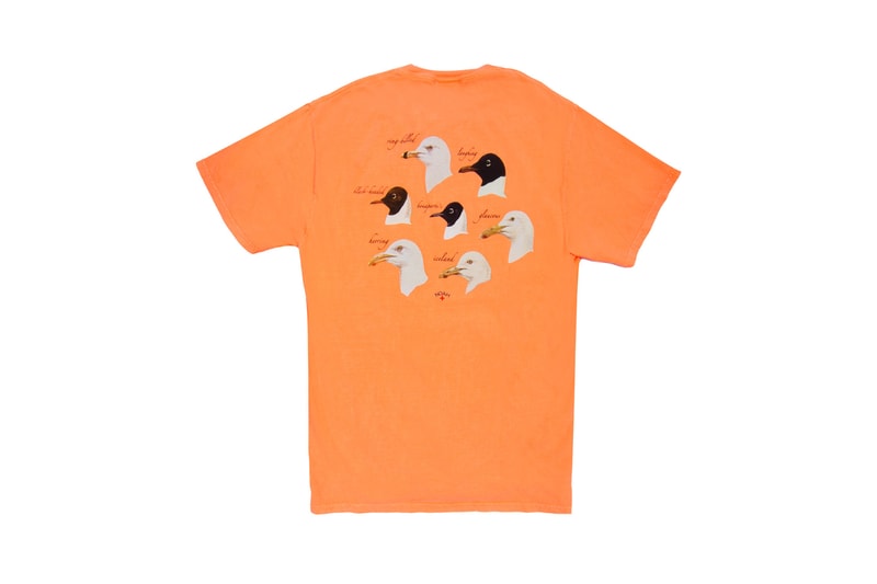 Noah 2016 Spring Releases