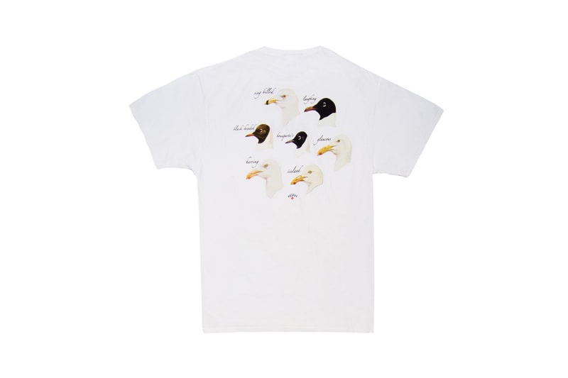 Noah 2016 Spring Releases