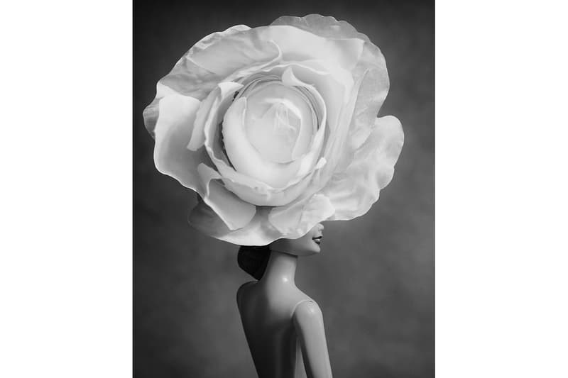 2016 Sony World Photography Award Winners