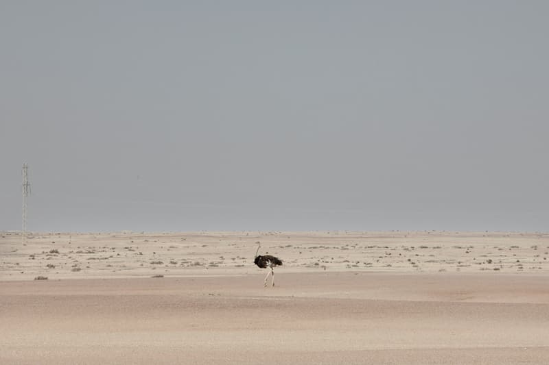 2016 Sony World Photography Award Winners