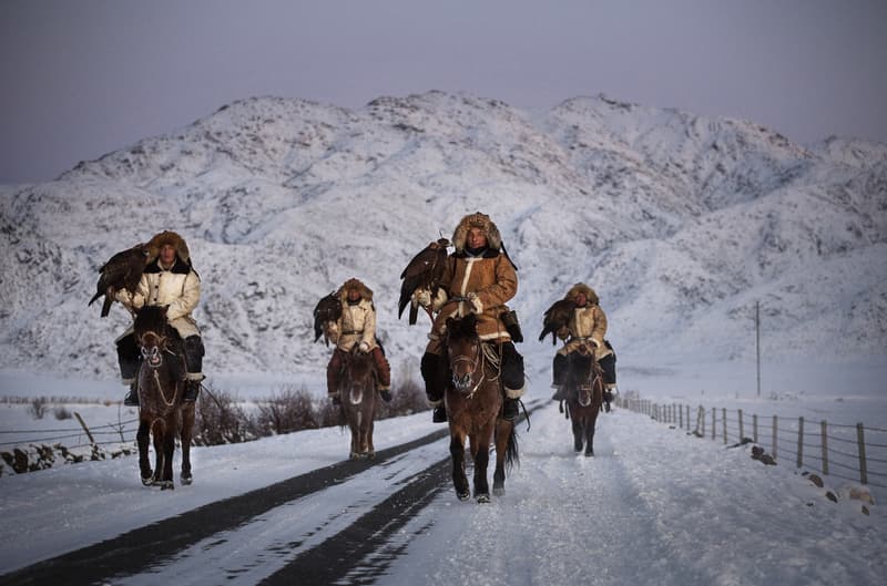 2016 Sony World Photography Award Winners