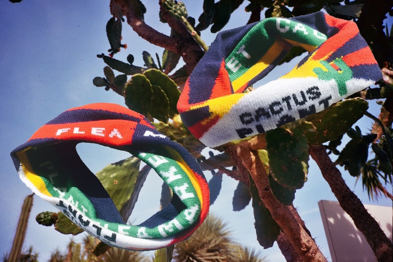 Cactus Plant Flea Market Drops New Tee Shirt