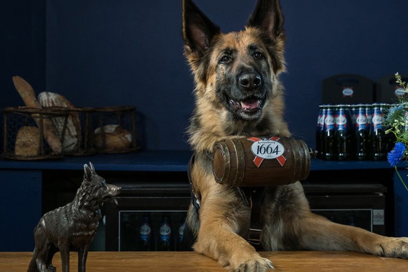 Kronenbourg German Shepherd Dog Beer Pop Up
