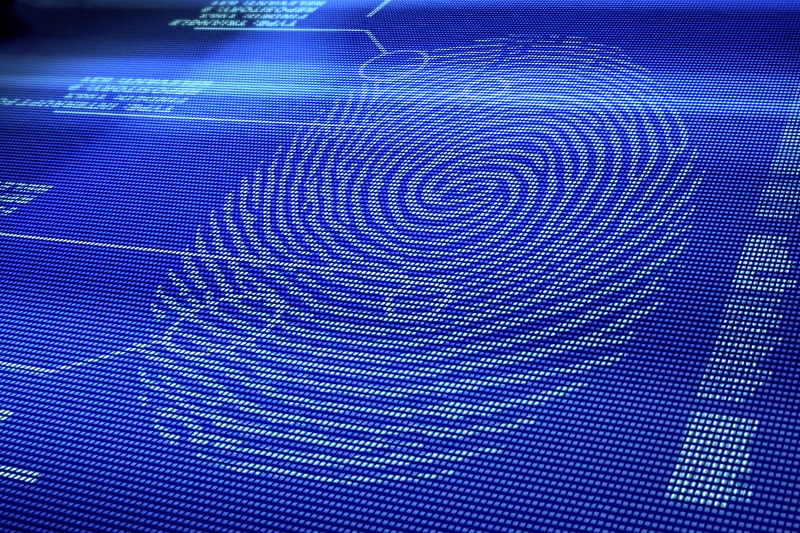 LG Innotek Underscreen Fingerprint Sensors Within A Year