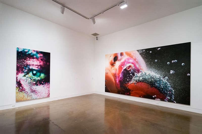 Marilyn Minter PrettyDirty Orange County Museum of Art Exhibition