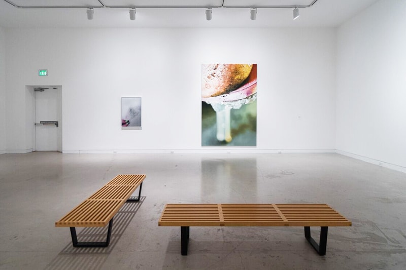 Marilyn Minter PrettyDirty Orange County Museum of Art Exhibition