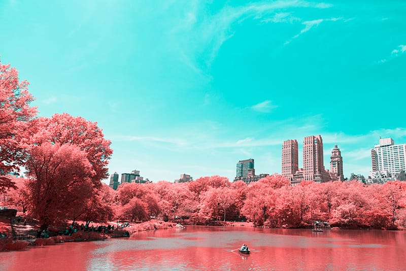 New York's Biggest Tourist Destination Transformed Into Breathtaking Infrared Landscape