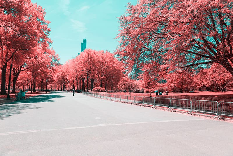 Paolo Pettigiani Infrared New York Landscape