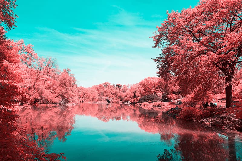 Paolo Pettigiani Infrared New York Landscape