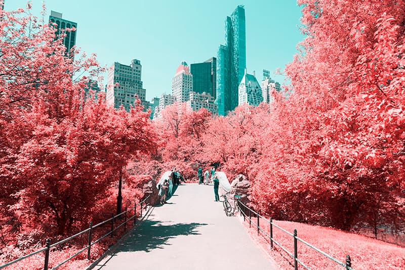 Paolo Pettigiani Infrared New York Landscape