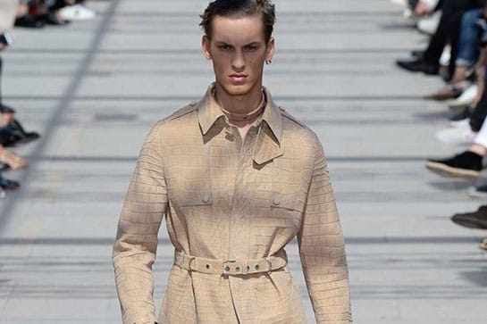 Louis Vuitton 2017 Spring/Summer Collection