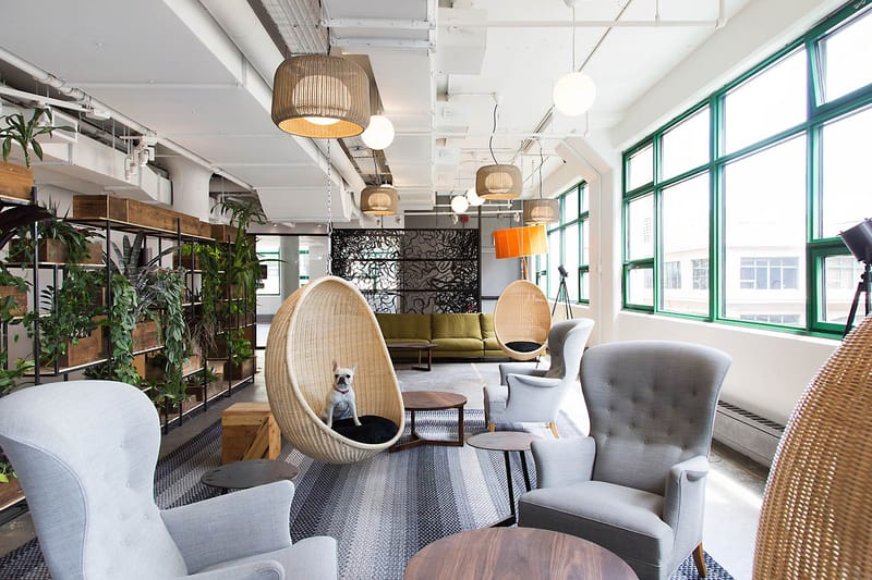 Etsy Ups the Sustainability Game With Their Ultra-Sustainable Headquarters