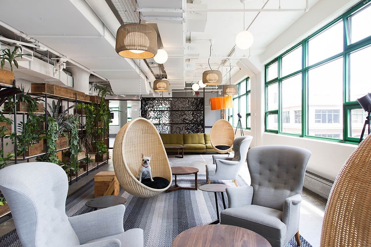 Etsy Ups the Sustainability Game With Their Ultra-Sustainable Headquarters