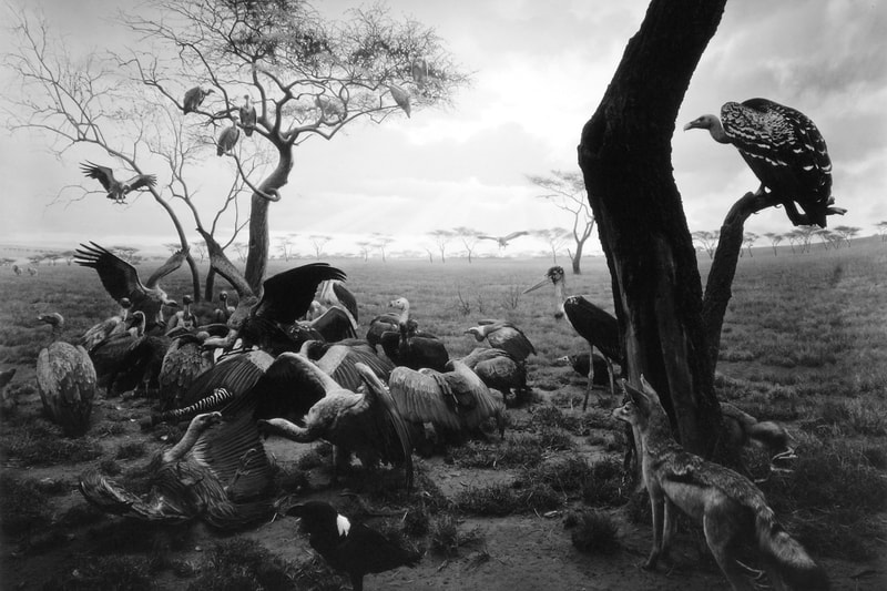 Hiroshima Sugimoto's Black Box Exhibit Opens In Madrid