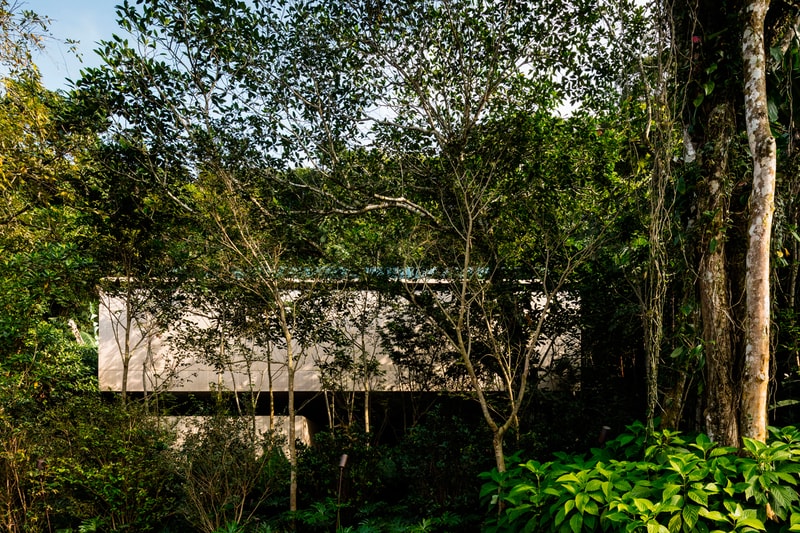 Studio MK27's Casa Na Mata