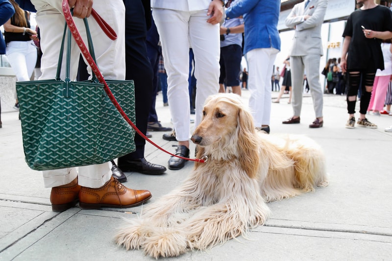 Streetsnaps: Pitti Uomo June 2016 - Part 1