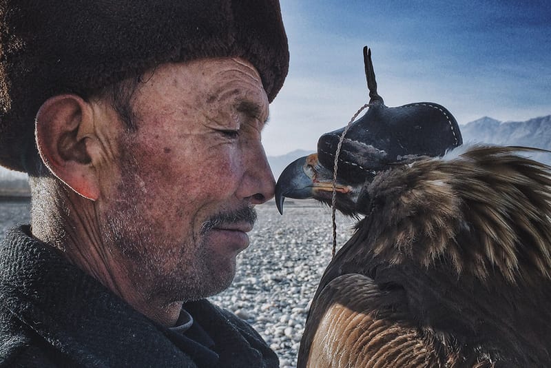 Here Are the Winning Images of the 2016 iPhone Photography Awards