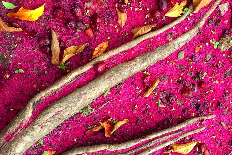 Winning Images of the 2016 iPhone Photography Awards