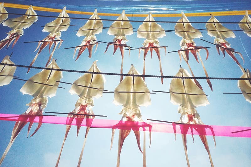 Winning Images of the 2016 iPhone Photography Awards