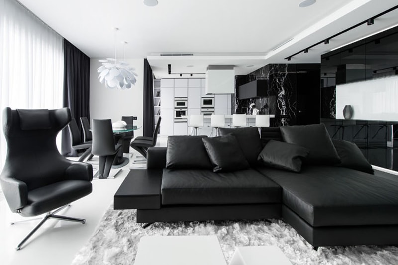 Black and White Interior Apartment