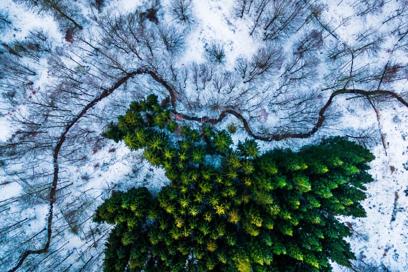 Winners of the 2016 Drone Aerial Photography Contest