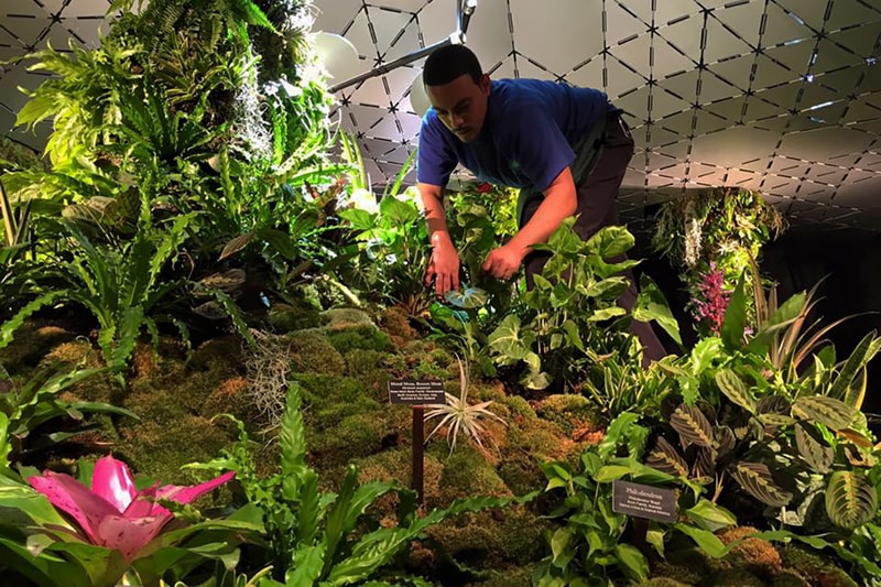 New York City Lowline Underground Park