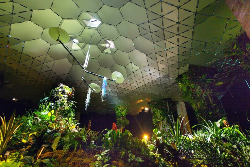 New York City Lowline Underground Park