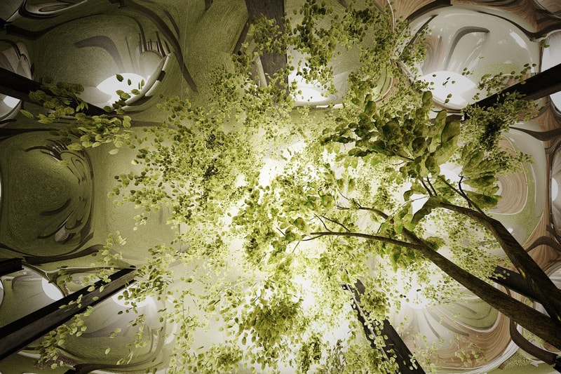 New York City Lowline Underground Park