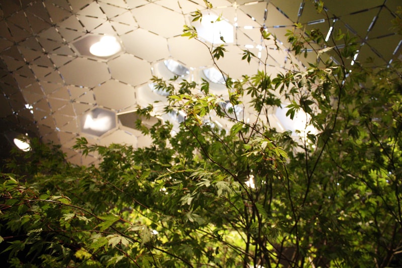 New York City Lowline Underground Park