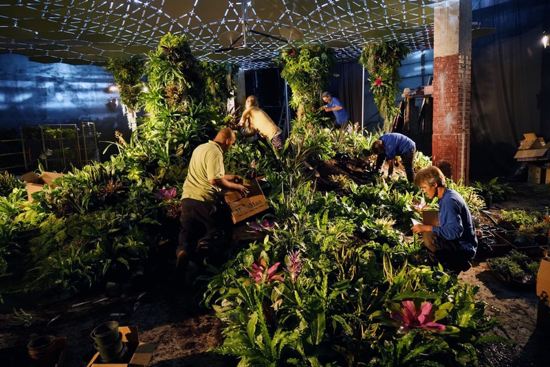 New York City Lowline Underground Park