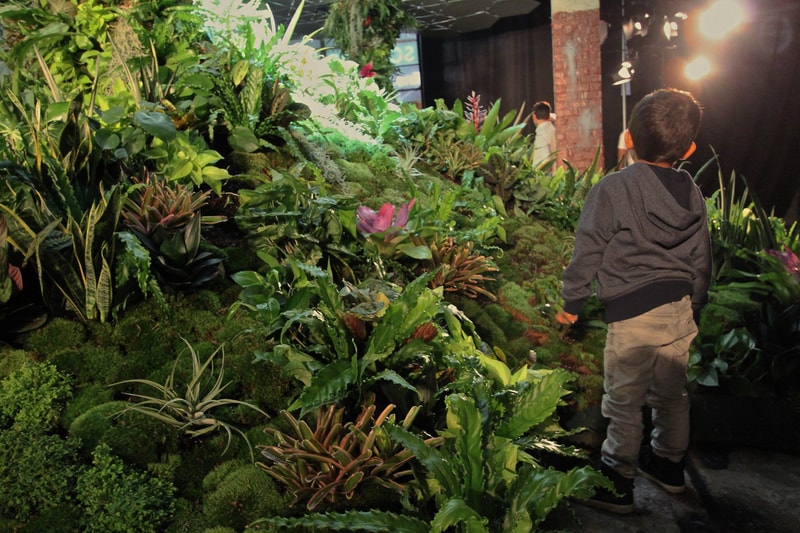 New York City Lowline Underground Park