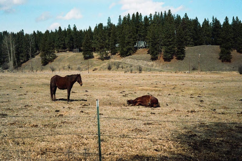 Photographer Robert LeBlanc Captures Gritty World in "Don't Be So Disappointed Larry"