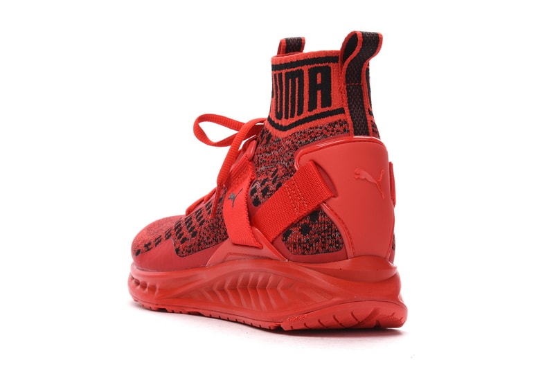 PUMA Ignite evoKNIT Red