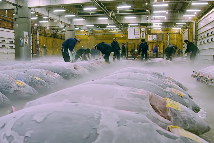 'Tsukiji Wonderland' Trailer Documents the Happenings at the World's Most Famous Fish Market