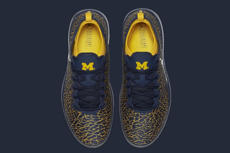 University of Michigan  Jordan Trainer 1 Low